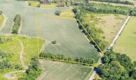 Terreno Agricolo in vendita a Mussolente