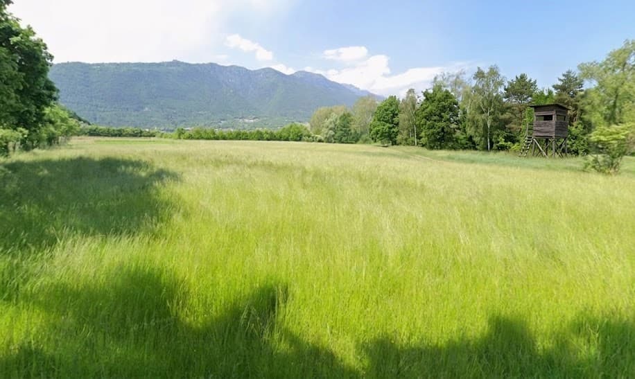 terreno agricolo in vendita a Borso del Grappa (TV)